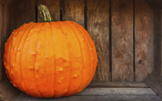 Just So You Know: 2560-Pound Pumpkin