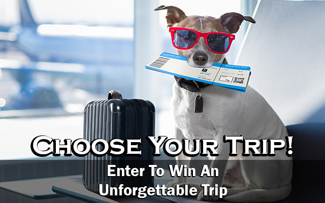 Choose Your Trip from Mix 100.3!
